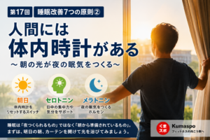 朝の光を浴びて体内時計を整えることで、夜の自然な眠気につながる仕組みを解説したイメージ画像。